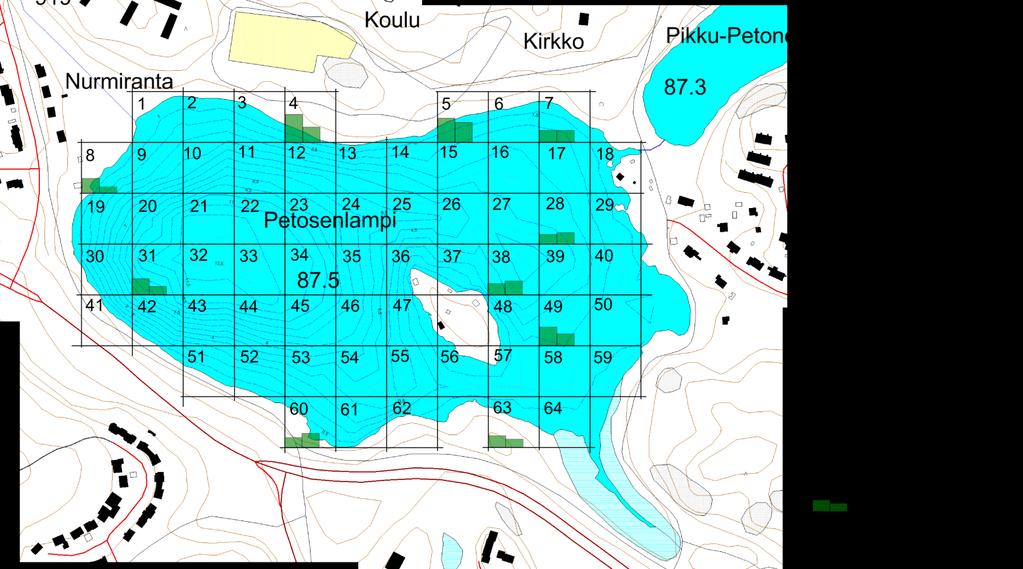 Kuva 9. Petosenlammen särkien pituusjakauma. Särki jakautuu ahventa tasaisemmin järven länsi-, pohjois- ja itäosaan (Kuva 10.).