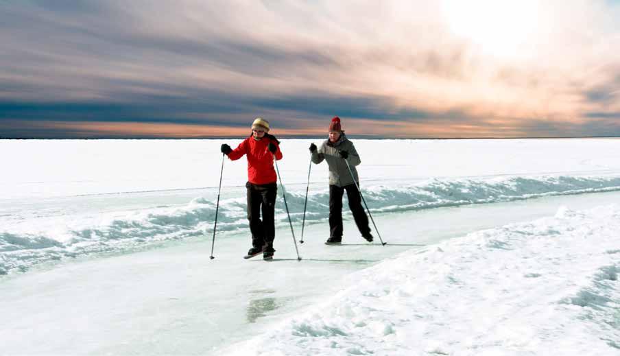 KRUUNUPUISTO Kuntoutuksen