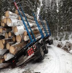 Metsuri-metsäpalveluntuottajat työllistyivät heikoiten koulutusta vastaavassa työssä metsäalalla 12 % valmistuneista 5 % siirtynyt