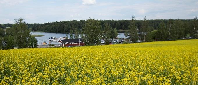 henkilöstö ja johto Meillä on oikeat henkilöt, oikeilla paikoilla, oikeaan aikaan Meillä on mittaristo, kehityskeskustelut