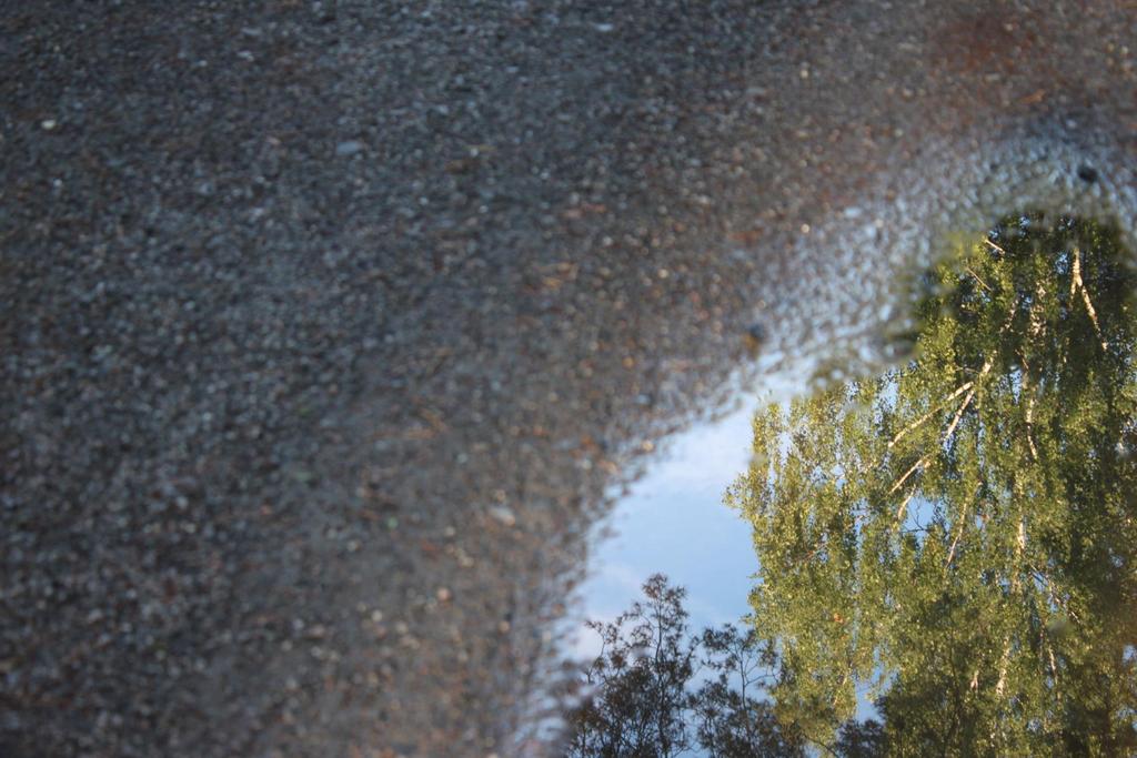 Olen saanut jakaa omaa kokemusta ja nähdä, kuinka päättäjät, ammattilaiset ja nuoret ovat hyötyneet siitä. Nähny nuorten voimaantumista, kuinka uskaltavat kantaa omaa lastensuojeluhistoriaa ylpeinä.