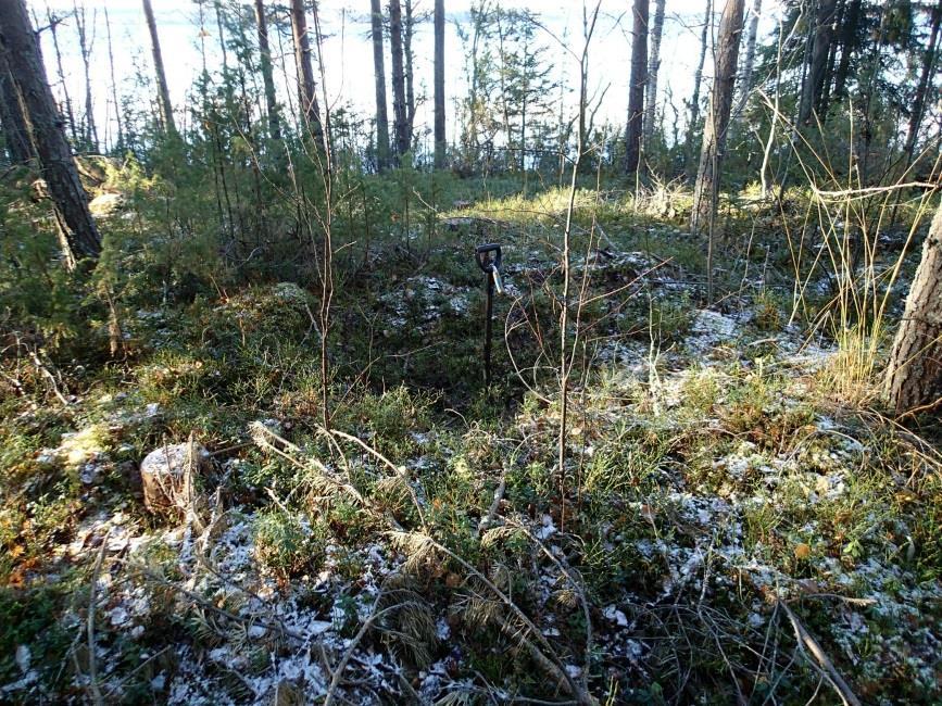 13 Huomiot: Samalla noin 102 m:n törmällä kuin edellinen kohde (Hiekkaniemi B), todettiin 150 cm halkaisijaltaan oleva pyöreä kuoppa, syvyydeltään 20-30 cm.