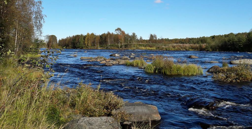 Iijoen kuntien, yritysten ja organisaatioiden yhteistyönä selvitetään edellytykset Iijoen kansalliselle ja kansainväliselle brändäämiselle ja matkailuyhdistyksen perustamiselle.