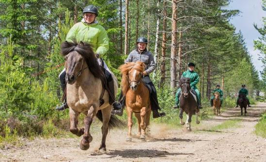 Virkistysaltaat ja kuntoallas ma-pe klo 14.00-21.00 la klo 09.00-21.00 su klo 10.00-18.00 Huomioithan, että viikolla 41 on paljon varauksia kuntoaltaaseen.