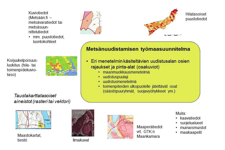 Forest Big Datassa ei ollut mukana erityistä metsänhoitoa käsittelevää pilottihanketta.