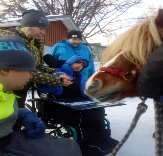 KAIKILLA ON MAHDOLLISUUS TUNTEA PONIN PEHMEÄ TURPA Kun tulee tallille ja