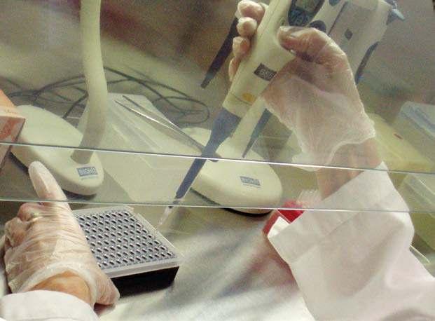 Laborantti Sirpa Tamminen valmistelee näytteitä PCR-tutkimusta varten.