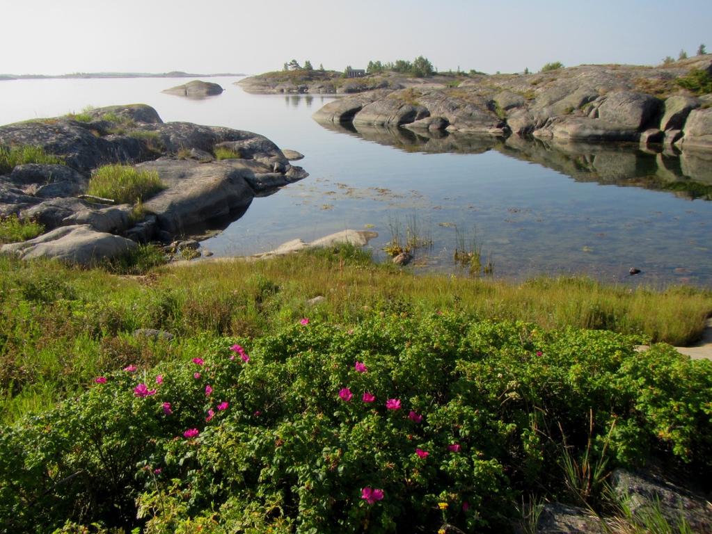 Sisältö: Hankkeen tausta 2 Hankkeen koordinoija 2