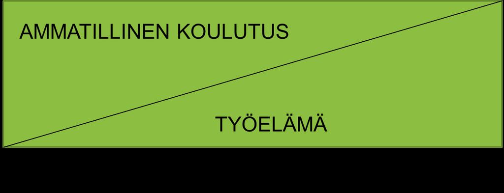 Tiedostettuja työelämäkohtaamisia opintojen aikana Henkilökohtainen opiskelu- ja