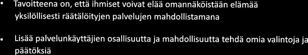 Henkilökohtainen budjetti MUKANA HAU.)TUKIIN KArnUNANKKEESSA / www.siunsote.