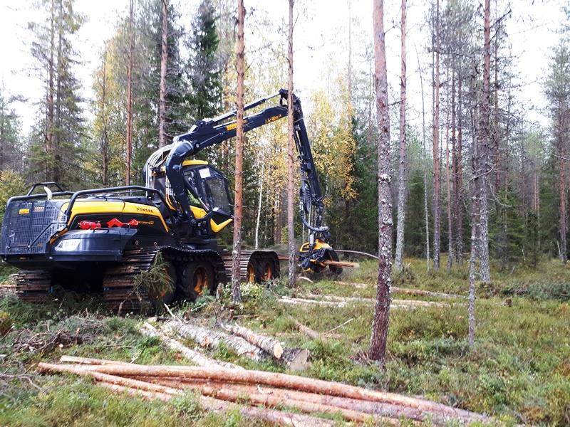 Kalusto turvemaiden hakkuissa Turvemaiden puunkorjuu on yleensä tehty talvella maan ollessa jäätynyt. Turvemailla voidaan hakata kesälläkin.