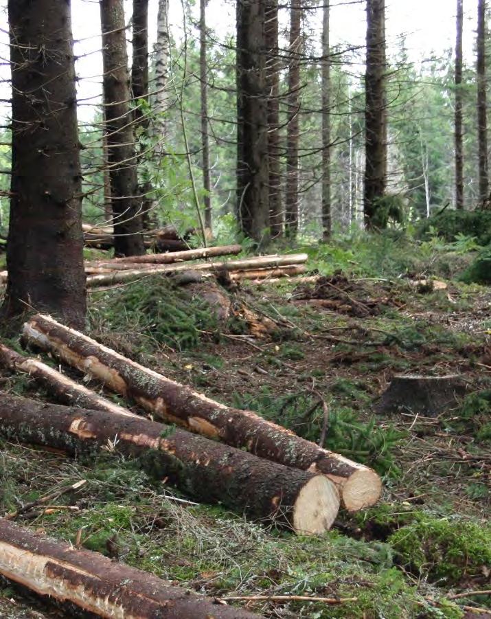 Kantokäsittelyliuoksen kulutus hakattua havupuukiintokuutiometriä kohden Havupuupoistuman keskijäreydellä ja edelleen hakkuutavalla oli erittäin merkittävä vaikutus kantokäsittelyliuoksen kulutukseen.