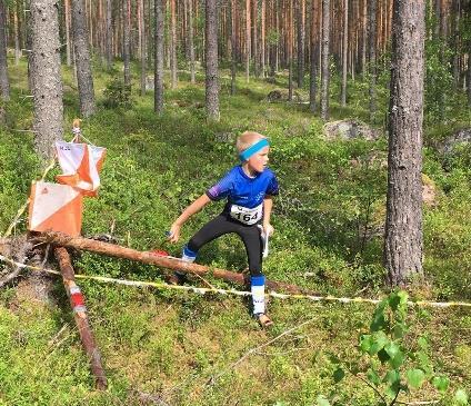 voimailemassa, Topi Salla ja Mikko
