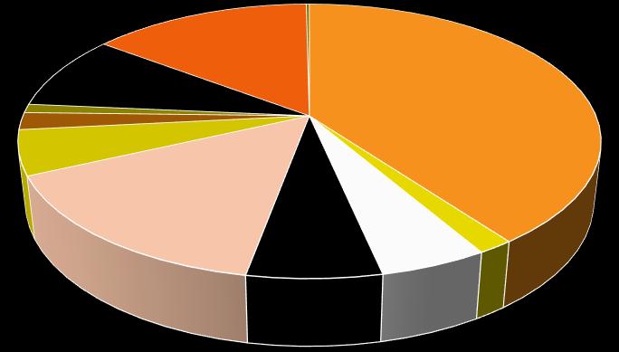 Myönnetyt yritystuet toimialoittain 2015-2018 12 Bioenergia/raakaaine 0 % 11 Muut palvelut 15 % 10 Muu valmistus 9 % 8 9 Urakointi Lämpöyrittäjyys 1 % 0 % 1 Annex 1 40 % 7 Hevospalvelut 2 % 6