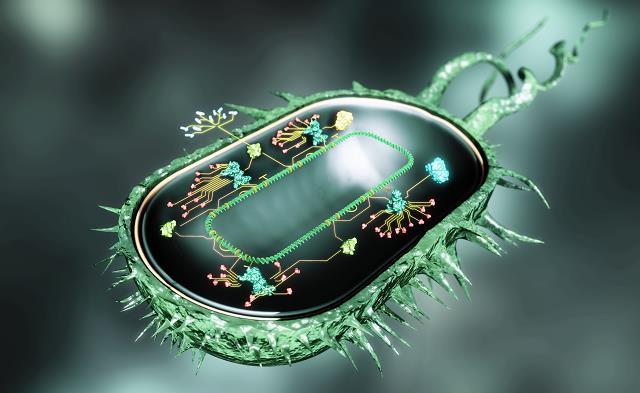 Dual use research of concern Alhainen riski Suuri vaikutus Synteettisen biologian kehitys Bioteknologian