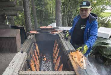 Säät ovat olleet siihen tarkoitukseen hyvät, ja alkukesän aikana olen nauttinut pyöräillessä luonnon musiikista eli lintujen lauluesityksistä, luonnon tuoksuista ja