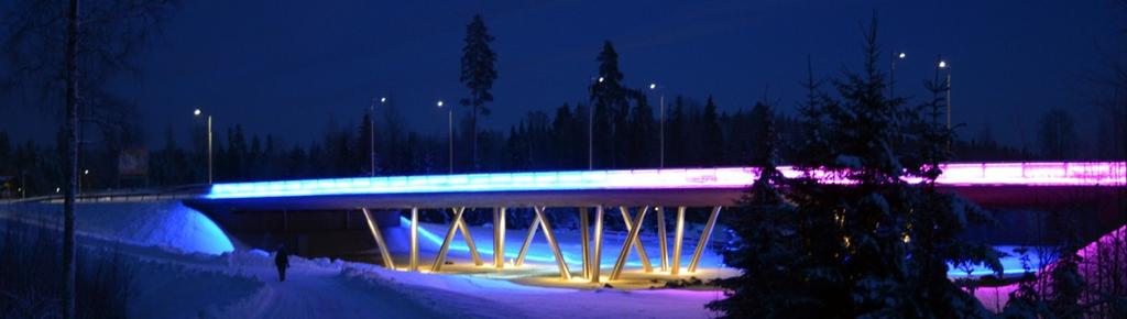 SEKÄ Heini Orell, koordinaattori P.