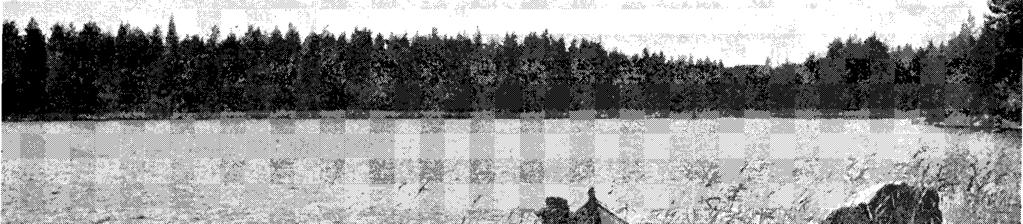 VEDENHANKINTASUUNNITELMIIN LIITTYVÄT TUTKIMUKSET Suunnitelmien mukaisen vedenhankintalähteen, Päijänteen, veden laatua ja vesistön tilaa seurattiin laajoin tutkimuksin paikalta tuotua vettä.