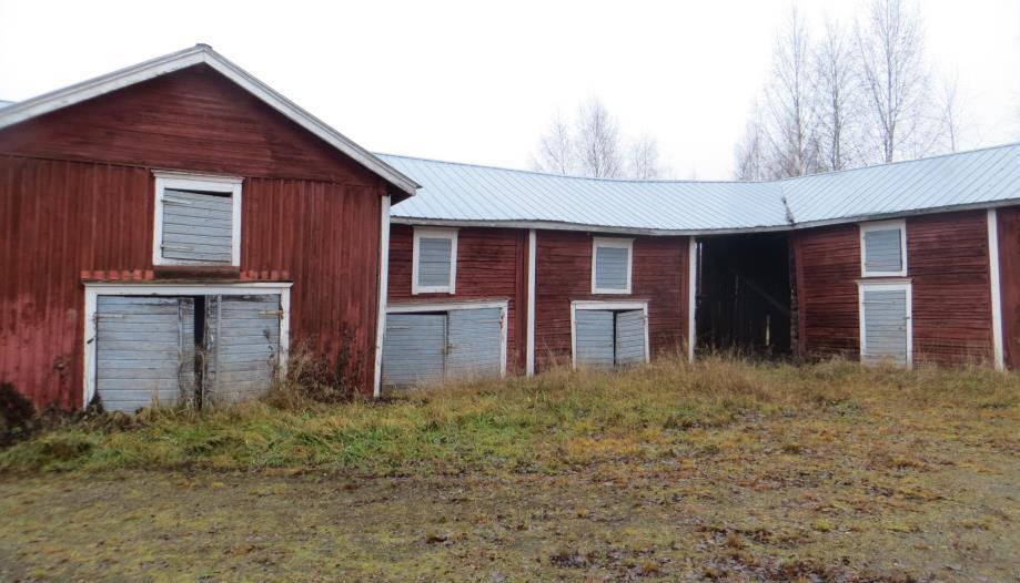 Pihapiiri on asumaton ja siihen nähden suhteellisen hyväkuntoinen.