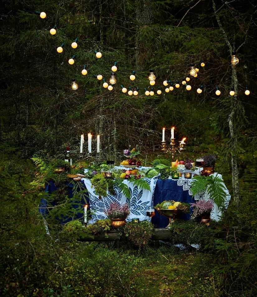 Aistimuksia, elämyksiä, hyvinvointia Teknisyys voi korostua olosuhdetyössä.