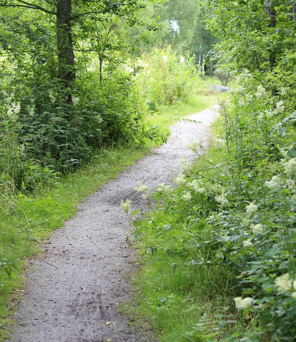 Palvelupolkuja luontoon Erilaisia soveltavan luontoliikkujan polkuja on yhtä paljon kuin luontohetkiä. Palvelupolun kuvaus hyvä tapa kuvata eri toimijoiden rooleja ja selvittää yhteistyötä.