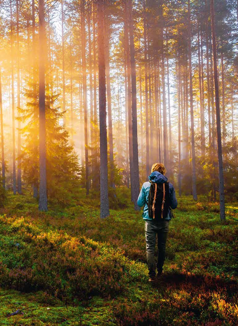 Uuden elämän alkuja JA ASUMISEN UNELMIA JO 60 VUOTTA Kekseliäille ja käsistään taitaville suomalaisille metsä on aina ollut kuin toinen koti.