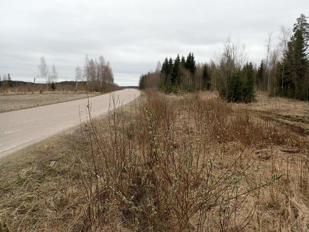 1 Ikaalinen Koveranta -