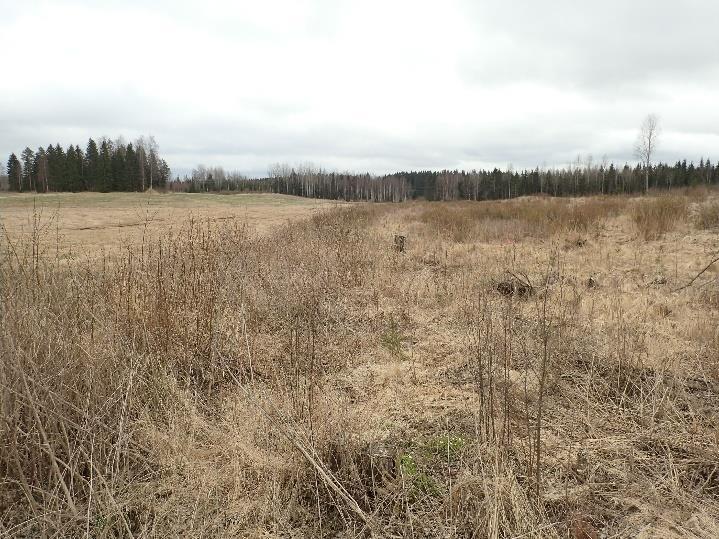 pylvään paikkeille. Itäkoilliseen.