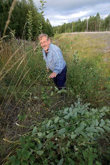 Maamerkki kulttuuri- ja ympäristöarvot Kannaksen matkojen lisäksi yksittäisten veljien erikoisosaaminen sekä halu ja kyky