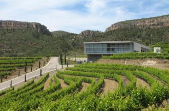 Salmos Tuottaja: Torres SA Tuotantoalue: DOCa Priorato (DOQ Piorat) (Lloar) Maahantuoja:Winestate Rypälelajike: Cariñena Garnacha tinta ja Syrah