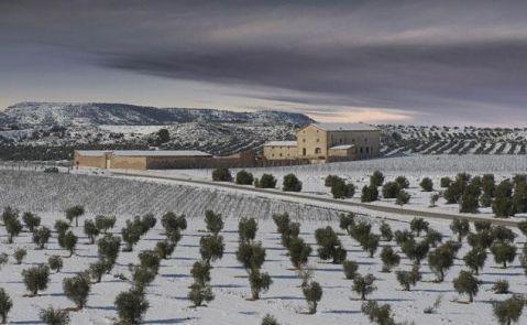 Purgatori (kiirastuli) Tila: L'Araynó de Les Garrigues, joka kuului Montserratin luostarille Tuottaja: Torres SA Tuotantoalue: DO Costers del Segre Maahantuoja: Vinestate Rypälelajike: Cariñena 40%,