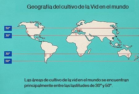 Muu maailma: Argentina, Australia, Canada, Chile, Etelä-Afrikka, Intia; Israel, Libanon, Marokko, Mexico, Uruguay, USA, Uusi Seelanti.