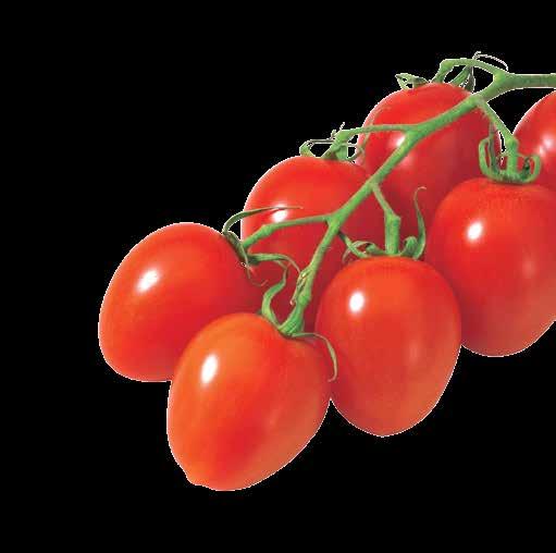 3 tuotetta tomaattien ja chilien kasvatukseen Sisäpiirin vihje Poista varkaat säännöllisesti Tomaatit synnyttävät uuden verson siihen kohtaan missä lehti kasvaa varresta.