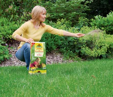 Hyvin toisiinsa sovitettujen hoitotuotteiden ansiosta saat elinvoimaisen nurmikon, joka kykenee syrjäyttämään sammaleen ja rikkaruohot luonnollisella tavalla