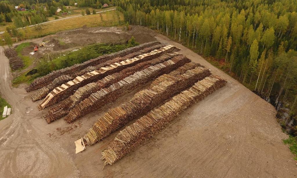 Padasjoelle tuli kuntalaisten yhdessä istuttama metsikkö.