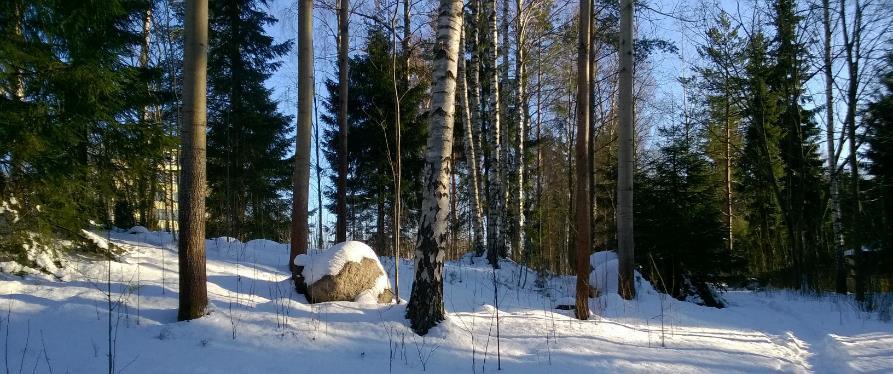 Osallistumis- ja arviointisuunnitelma Program för deltagande och bedömning 002398 3.4.2018 s. 5 Läntinen Vaakapuisto. / Västra Vågparken.