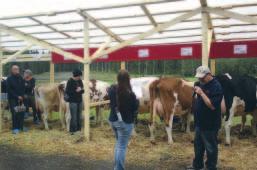 Päivölän karjan jalostuseläinhuutokaupassa myytiin 1 korkeatasoista Semex-sonnin tytärtä keskihintaan 2,2 euroa.