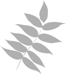 Runoja emyläisten kynistä Kukka kedon kaunein Missä on seesteinen kesäpäivä kuin ainiaan Missä on kesän tuoksu aidoin ja väriloisto rikkain Vapaa ja villi kauneus on kukkivan kedon, ahon kasvien