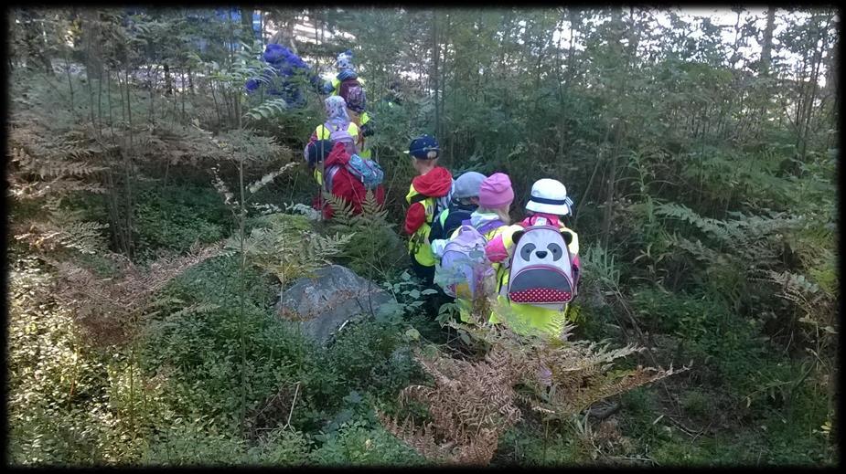 Tuoksut, valaistukset, äänet ja tunnelmat jäävät mieleen. Haluamme herätellä lapsissa kiinnostusta ja rakkautta luontoon ja eläimiin.