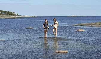 Järjestöt Suomenlinnan Rannikkotykistökilta Kajanuksen sauna. Suomenlinnan Rannikkotykistökillan toimintaa kuluvana vuonna johtaa jo viidettä kauttaan Kristiina Slotte.