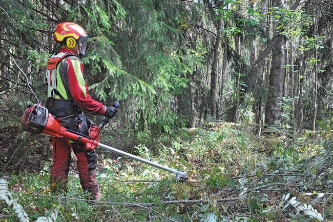 Ilmanvaihto kuntoon Uudenlaisia kouluja länsi-vantaalle Rajatorppaan ja Hämeenkylään toistensa läheisyyteen rakennettavat koulut ovat pioneereja monellakin tapaa.