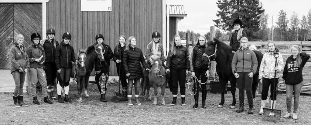 Hevostenhoitolautakunta oli täynnä hevosrakkaita opistolaisia. Jokaisella meistä oli vastuupäivä kerran viikossa, jolloin huolehdimme hevosista yhdessä talliyrittäjä Lindan kanssa.
