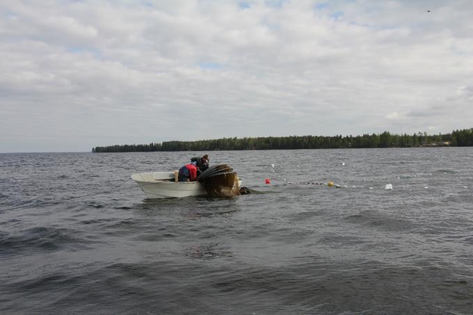 Talvella nuottaus Kevät-/