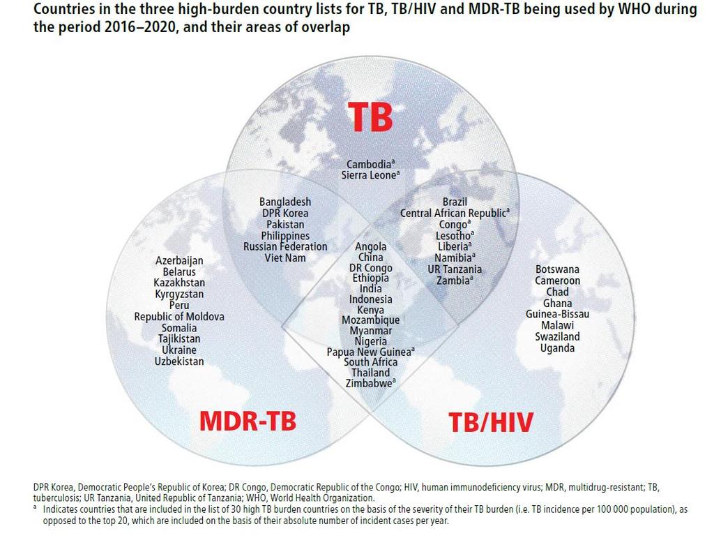 Kuva 3. WHO:n kolme erityisen tarkkailun kategoriaa ja maiden sijoittuminen niihin Lähde: Global tuberculosis report 2017, WHO 2017 Keuhkotuberkuloosi on tavallisin tuberkuloosin tautimuoto.