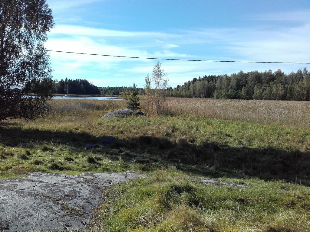 Sopimuslohko, jossa taustalla laaja ruovikko. Ilmoitettu pysyvänä laitumena lisäksi saanut LHK kelpoisuuden.