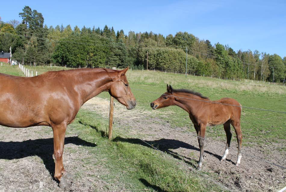 Tervetuloa kokeilemaan