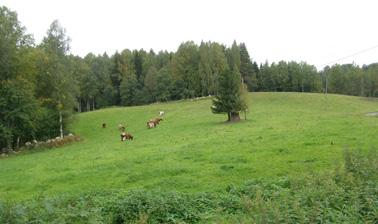 4.27 Potoskavaaran kylämaisema, Kitee Potoskavaaran kylä sijaitsee Suuri-Heinäjärven ja Kiteenjärven välisellä kannaksella heti valtakunnallisesti arvokkaan Kiteenlahden maisema-alueen