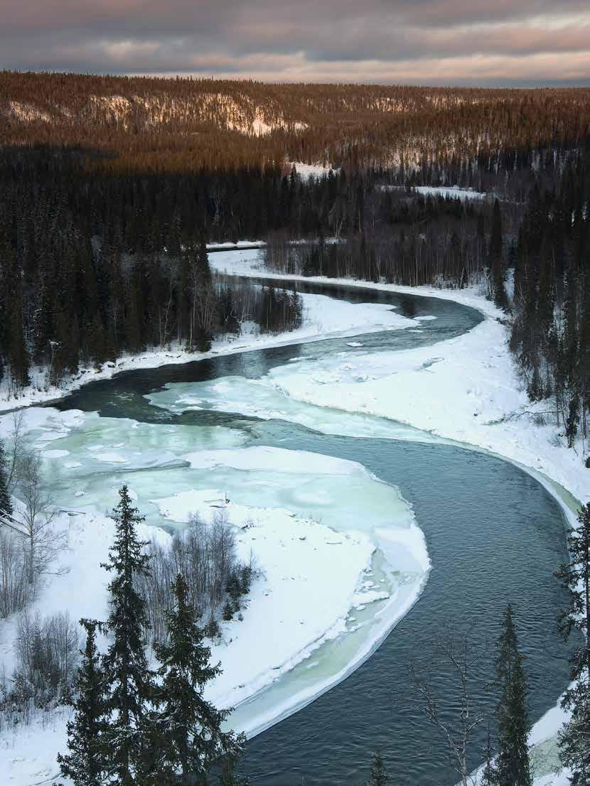 Tervehdys ystävä, Tutustu vuoden 2018 katalogiimme ja löydät kaikilta brändeiltämme niin metsästykseen kuin urheiluammuntaankin soveltuvia laadukkaita tuoteuutuuksia.