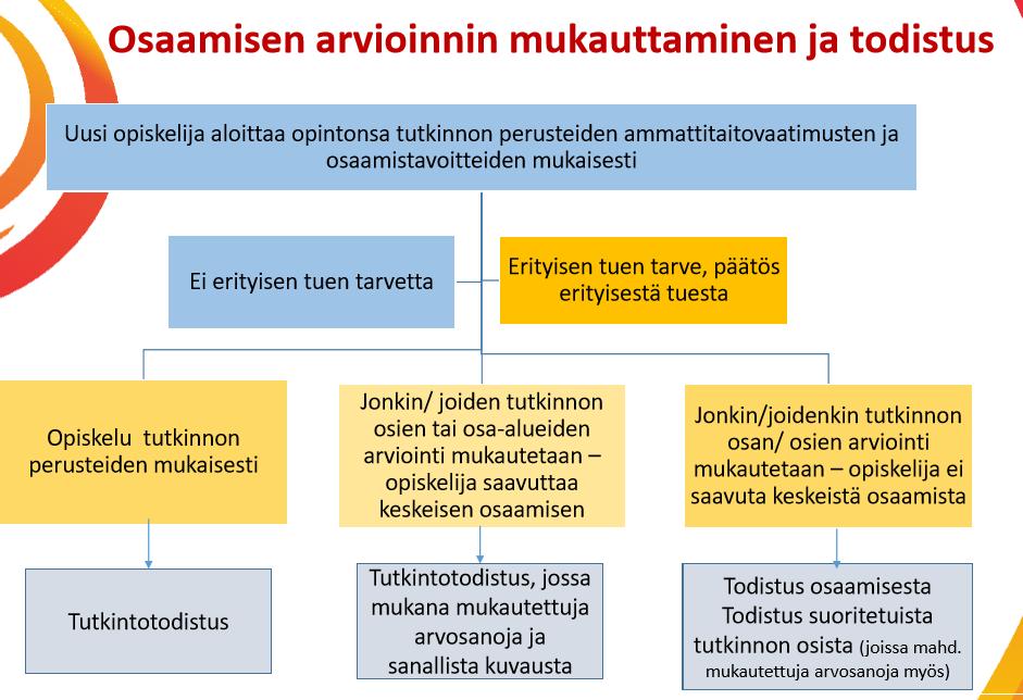 15 Kuva: Kuva: Parasta saamista hanke 9.