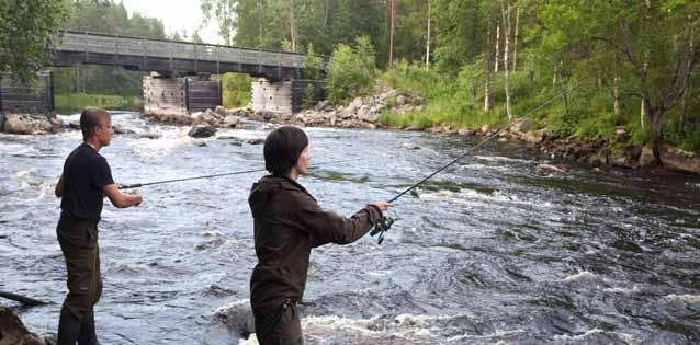 Möhkönkoskien virkistyskalastusalue Koitajoki Ilomantsin valtavirta Koitajoen vesistöreitillä Ilomantsissa on niin kuohuvia koskia kuin suuria järvialueita.